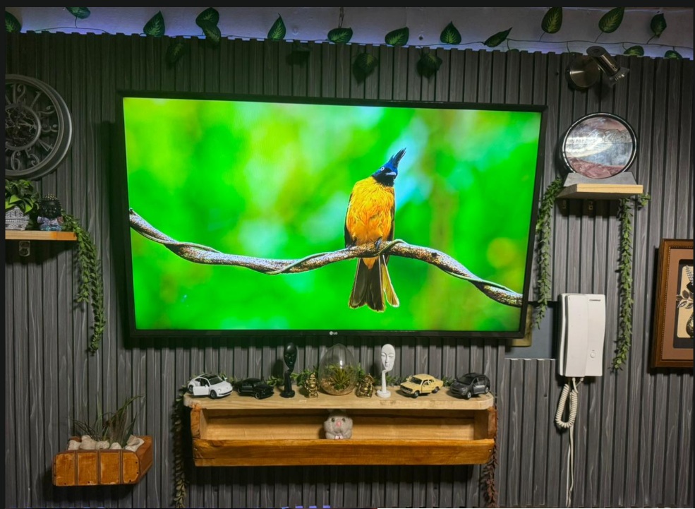 Instalación Wall Panel decorativo TV Oficina